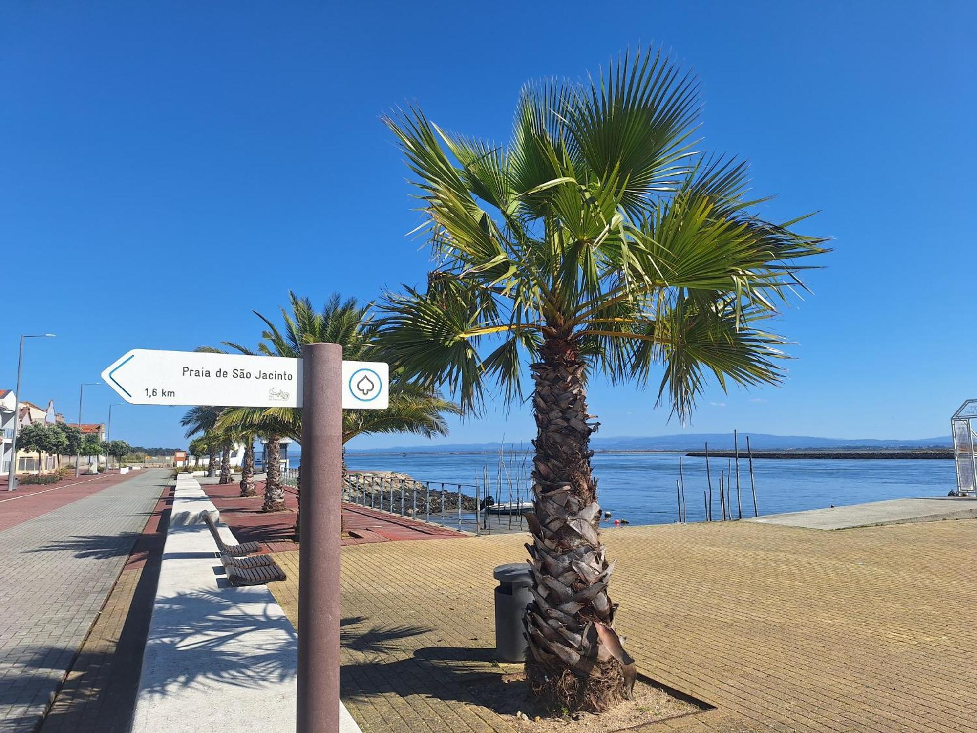Apartment Close To The Ria De Aveiro, Sao Jacinto ภายนอก รูปภาพ