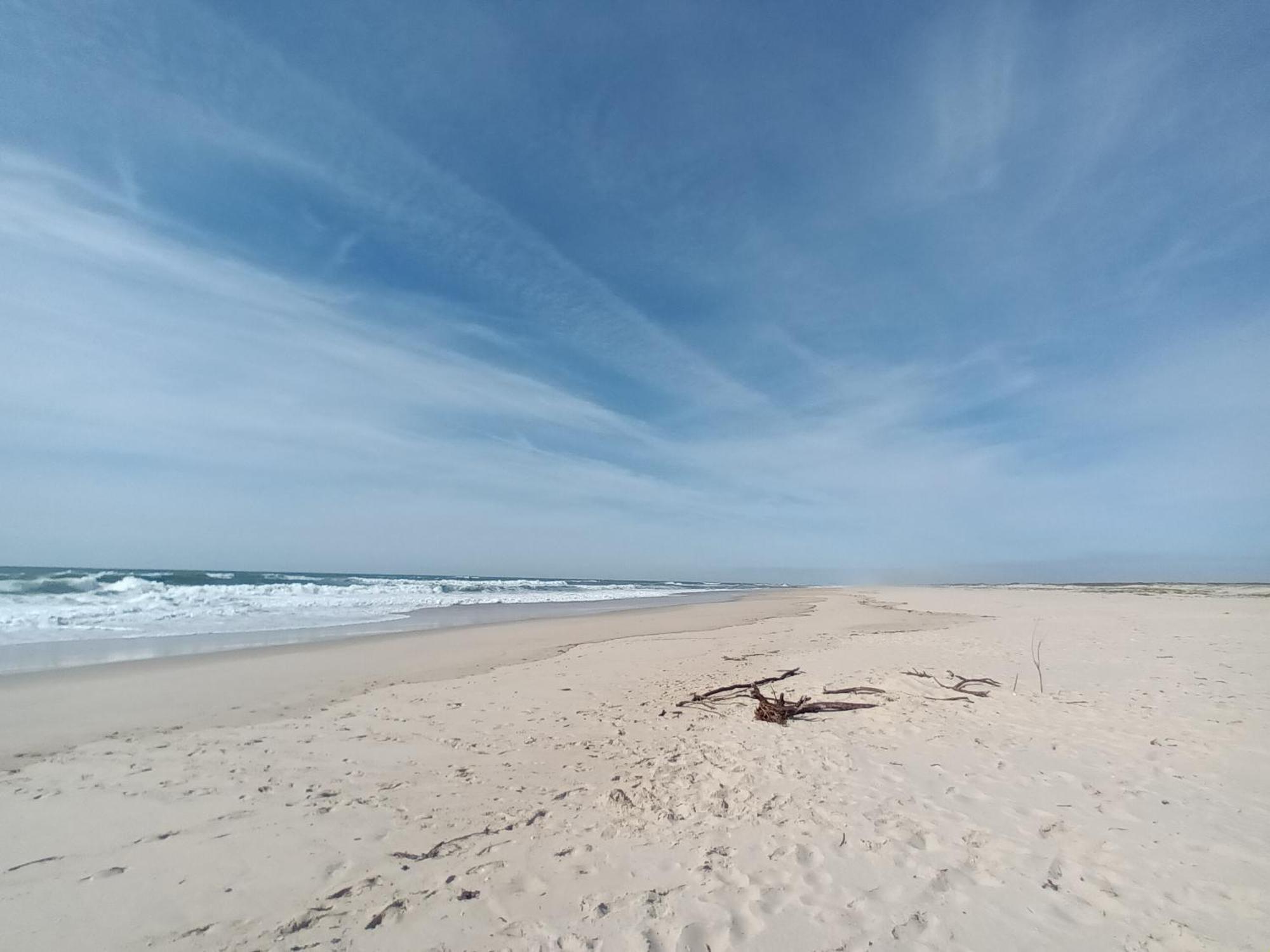 Apartment Close To The Ria De Aveiro, Sao Jacinto ภายนอก รูปภาพ