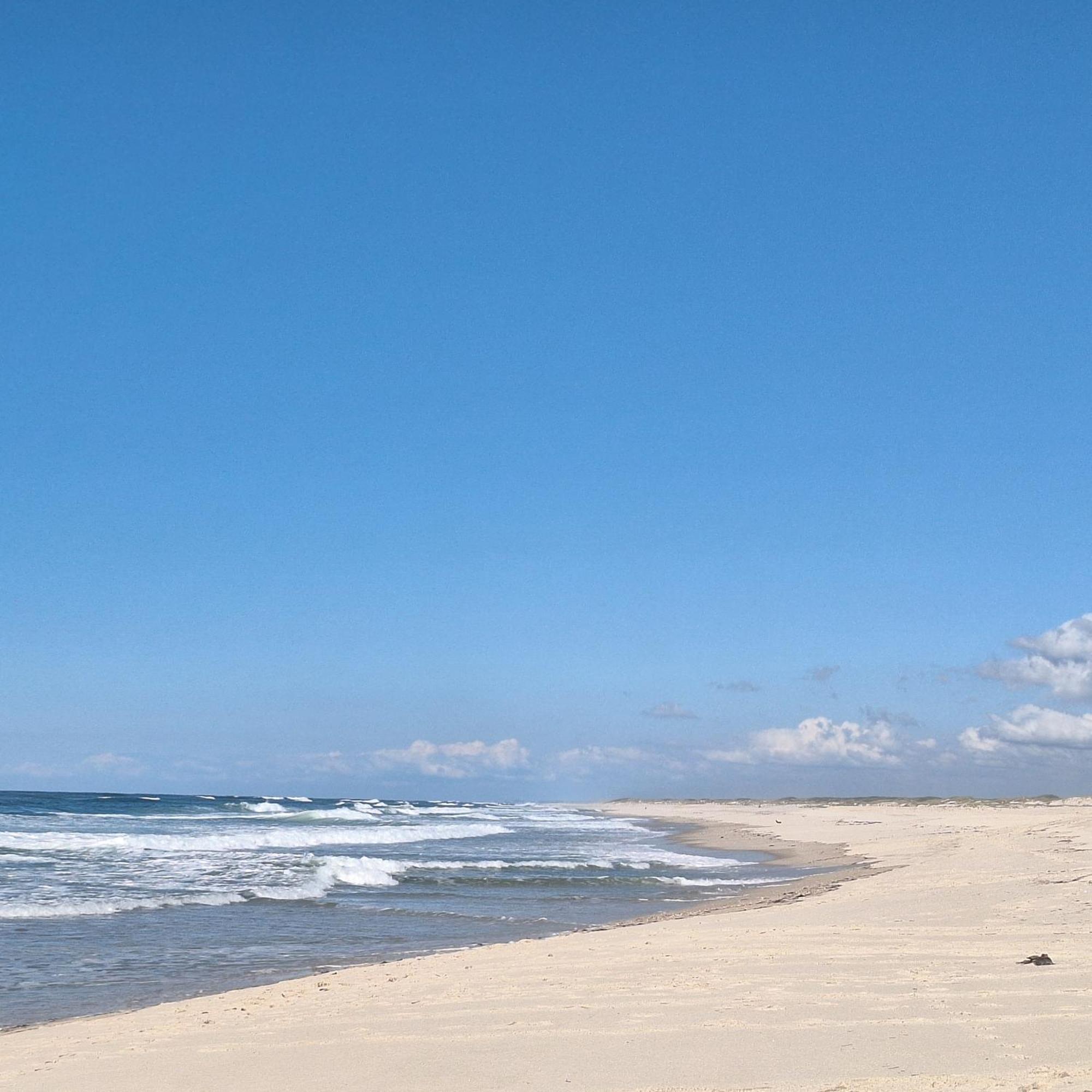 Apartment Close To The Ria De Aveiro, Sao Jacinto ภายนอก รูปภาพ